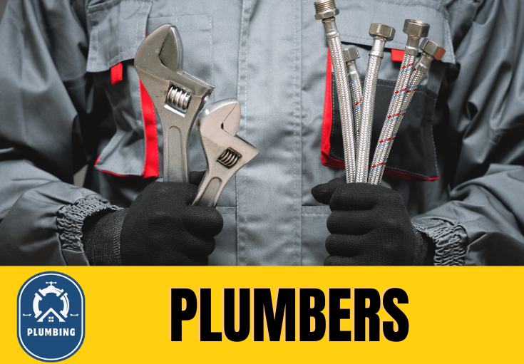  plumber Tapton